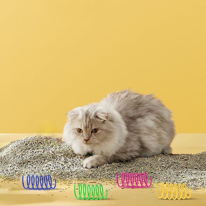 Cat Spring Toys 80 Pack, Colorful Plastic Coils Cat Kitten Spiral Spring Interactive Cat Toy for Swatting, Biting, Hunting-Mewly Pet