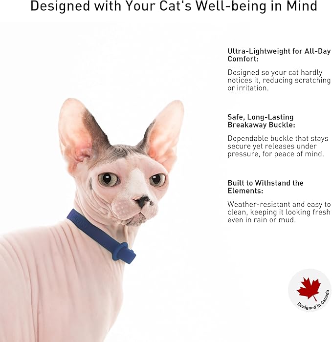 Break Away Collar for Cats - Soft, Thin, and Lightweight Safety Buckle Collar with Name Tag Ring for Outdoor Cats and Sensitive Skin Kittens by Nuvuq (6 ⅞" to 10 ¼", Dark Blue)-Mewly Pet