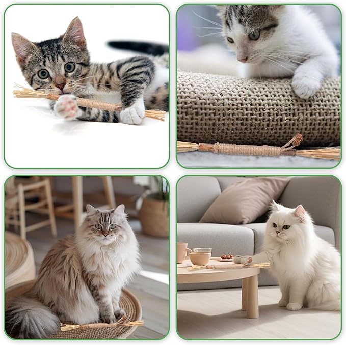 Silvervine Sticks for Cats 8 Pack Natural Cat Chew Toy Teeth Cleaning Edible Matatabi Dental Care Kitty Chew Sticks Catmint Cat Nip Treat Stick for Bored Indoor Kitty Calm Anxiety and Stress-Mewly Pet
