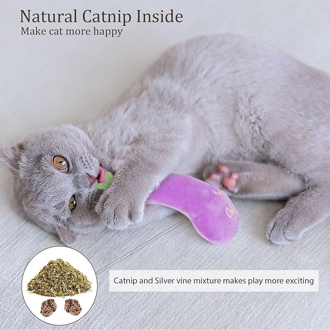 Catnip Cat Toys, Interactive Indoor Cat Nip Toy Kitty Kicker, Dental Kitten Chew Toy, 5 Pack, Vegetable Shape-Mewly Pet