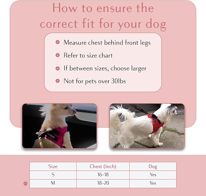 Comfort fit Step-in Dog & Puppy Harness - Comfortable All Weather Dog Vest Harness: Adjustable, Soft Padded, Easy to Put-on for Small, Medium-Sized Dogs.-Mewly Pet