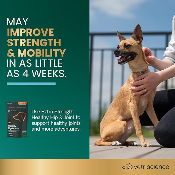 VetriScience Glycoflex 3 Clinically Proven Hip and Joint Support Supplement for Small Dogs - Maximum Strength Dog Supplement with Glucosamine, MSM, Green Lipped Mussel & DMG - 60 Chews,Chicken Flavor-Mewly Pet