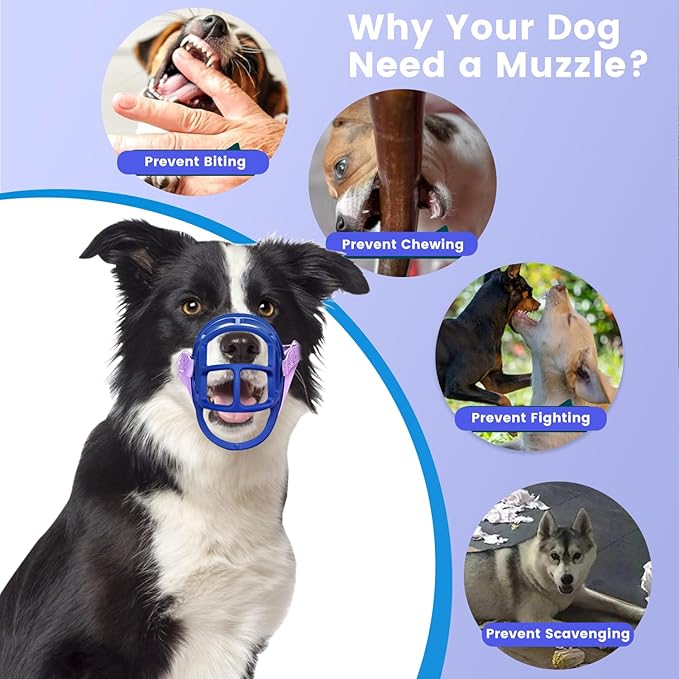 Basket Muzzle Allows Panting Drinking - Anti Biting Chewing, Suitable for Grooming Trimming Training, for Small Medium Large Dogs (Blue, Size 6)-Mewly Pet