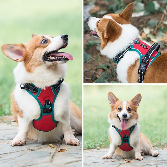 PHOEPET 2019 Upgraded No Pull Dog Harness,3M Reflective Adjustable Vest, with a Training Handle + 2 Metal Leash Hooks+ 3 Snap Buckles +4 Slide Buckles(XS, Red)-Mewly Pet