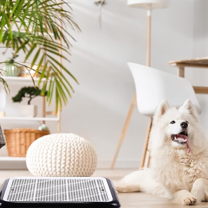 Mifoci 1 Pcs Dog Pee Pad Holder Potty Tray Portable Dog Litter Box Toilet Training for Indoor Outdoor Small Medium Large Pet Puppy-Mewly Pet