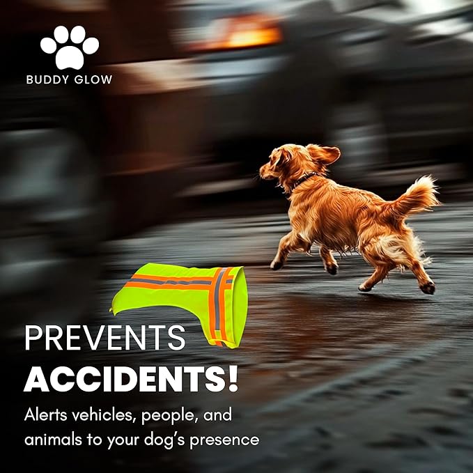 Reflective Dog Vest: Hi-Visibility Safety Gear for Outdoors. Safeguard Your Dog with Easy to wear Adjustable Reflective Vest Jacket (Medium)-Mewly Pet