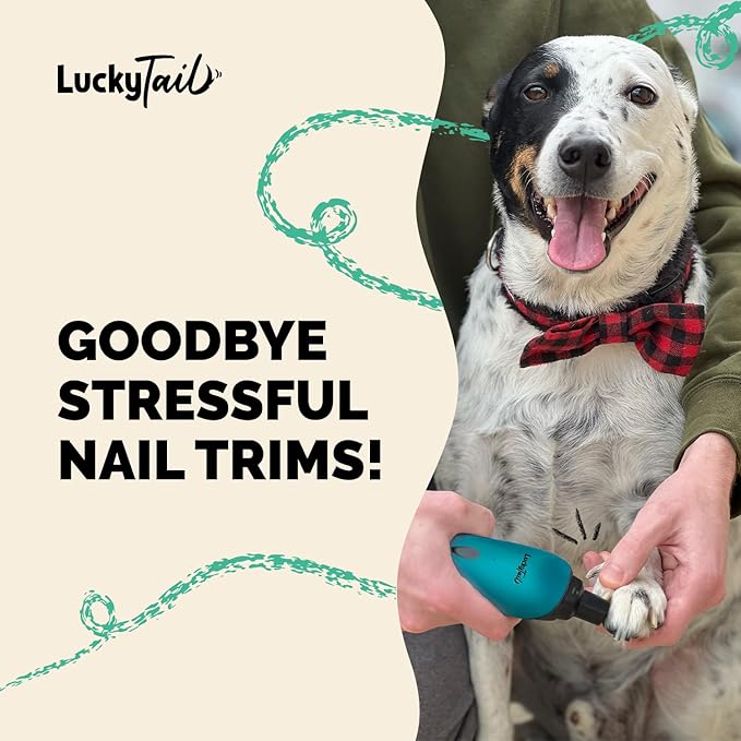 LuckyTail Pet Nail Grinder for Dogs and Cats - Super Quiet and Low Vibration Electric Dog Nail Grinder with 2 LED Lights - USB Rechargeable and Cordless - 2 Speeds - Small to Large Pets - Teal-Mewly Pet