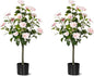 Artificial Camellia Tree 2 Pack, Artificial Plants Outdoor Faux Floral Plant in Cement Pot Fake Silk Camellia Tree Plants for Home House Living Room Office Decor