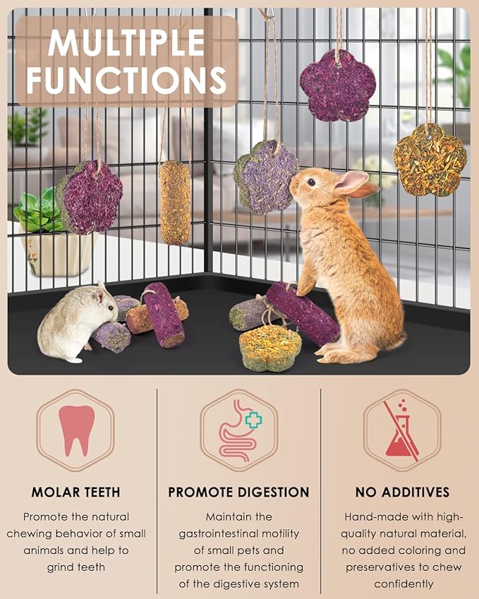 Bissap 12PCS Rabbit Chew Sticks, Hanging Chew Sticks & Cakes Timothy Hay Carrot Strawberry Treat for Bunny Chinchilla Guinea Pig Hamster and Other Small Pets Molar Snack Toy-Mewly Pet