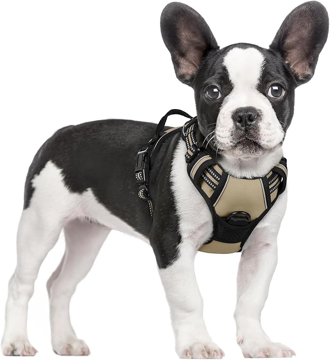 rabbitgoo Dog Harness No Pull with 2 Leash Clips, Adjustable Soft Padded, Reflective Oxford No Choke Pet Vest with Easy Control Handle for Small Dogs, Beige, S-Mewly Pet
