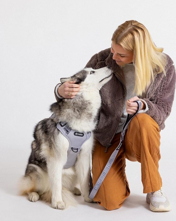 2025 New Edition, Fei & Eve MagEase Dog Harness - 3-Second Magnetic Buckles | 3-Point No-Pull Control | Heavy-Duty 900D Nylon | Dual Safety Handles | Breathable Mesh | Adjustable Fit | Medium, Gray-Mewly Pet
