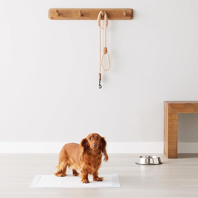 Amazon Basics Dog and Puppy Pee Pads, 5-Layer Leak-Proof Super Absorbent, Quick-Dry Surface, Potty Training, Regular (22x22"), 50 Count, Blue & White-Mewly Pet