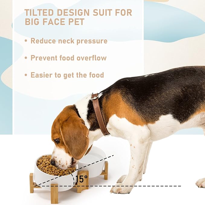 SPUNKYJUNKY 15° Slanted Ceramic Dog and Cat Bowl with Wooden Stand, Tilted Bulldog Food and Water Bowl No Slip Non-Spill for Cats Medium Dogs Big Face Pets 28.7 OZ (3.6 Cups, White × 2)-Mewly Pet