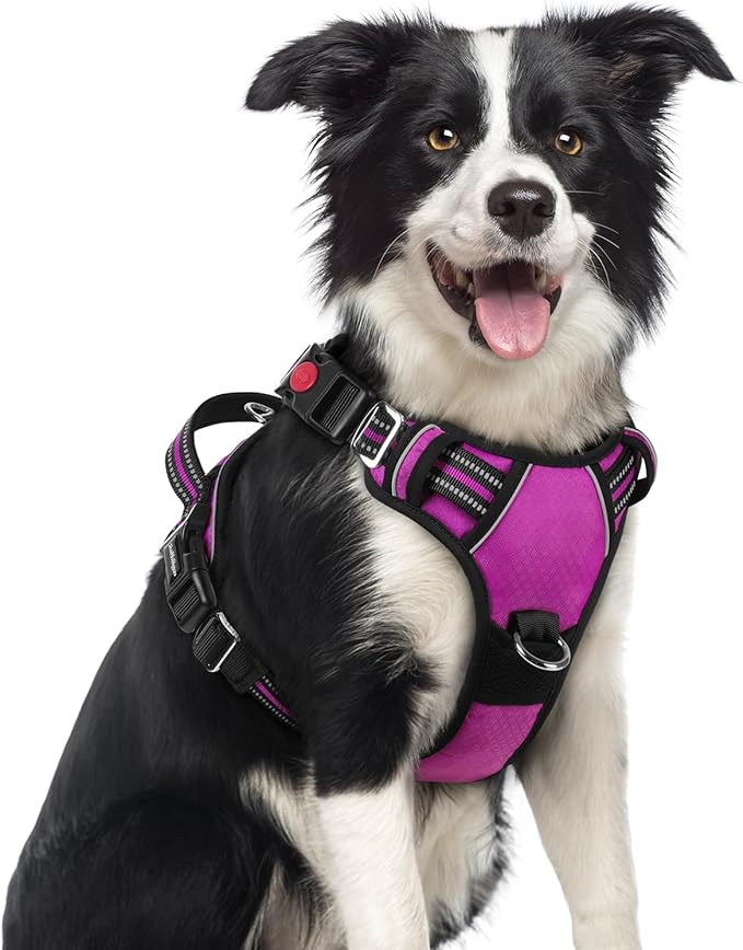 rabbitgoo Dog Harness Medium Sized, No Pull Dog Vest with 3 Buckles, Adjustable Soft Padded Pet Harness with Easy Control Handle and Reflective Strips, Purple, M-Mewly Pet