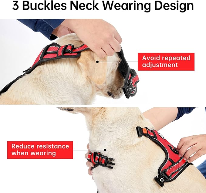 IVY&LANE No Pull Dog Harness for Medium Dogs, Dog Vest Harness with Leash, Safety Belt and Storage Strap, Fully Adjustable, 360 Reflective Strip, Soft Handle (Red, M)-Mewly Pet