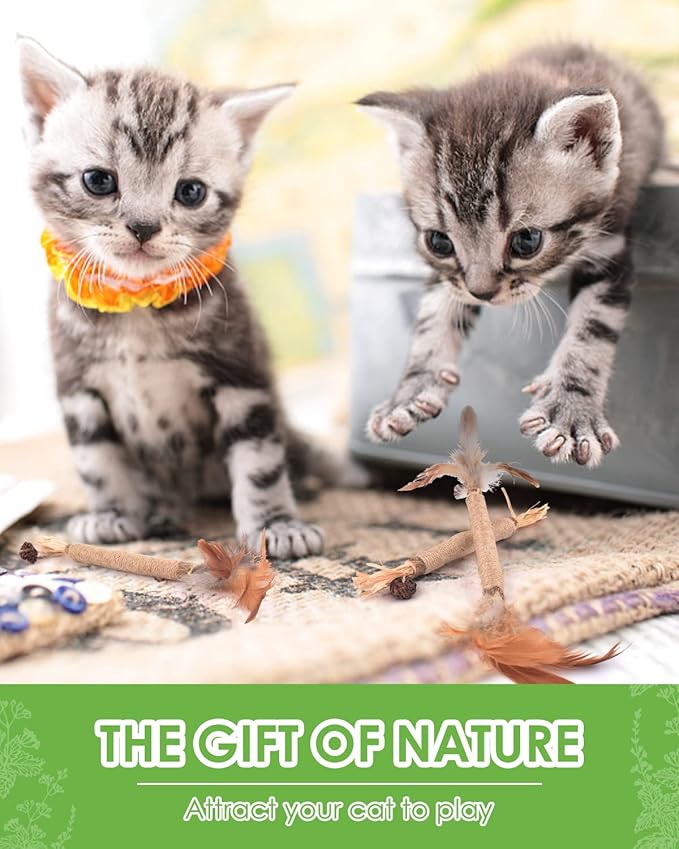 TINDTOP Silvervine Sticks for Cats with Natural Feather, Catnip Chew Toys for Kittens Teeth Cleaning, Increase Appetite, Calm Cat Anxiety and Stress, Cat Dental Toy (3 Pack)-Mewly Pet