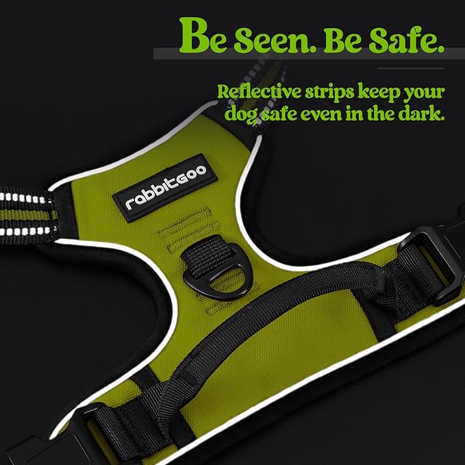 rabbitgoo Dog Harness No Pull with 2 Leash Clips, Adjustable Soft Padded, Reflective Oxford No Choke Pet Vest with Easy Control Handle for Medium Sized Dogs, Green, M-Mewly Pet