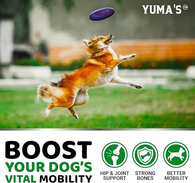YUMA'S (2 Pack) Glucosamine for Dogs - Hip and Joint Supplement for Dogs - Glucosamine Chondroitin Chews - Joint Pain Relief Supplement with MSM - Advanced Health - Mobility Support - Made in USA-Mewly Pet