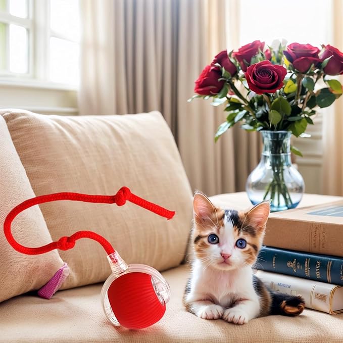 Electric Cat Toy - Automatic Rolling cat Toy with Motion sensors, Designed for Indoor Cats, Suitable for Solo Play (USB Rechargeable) (Greener)-Mewly Pet