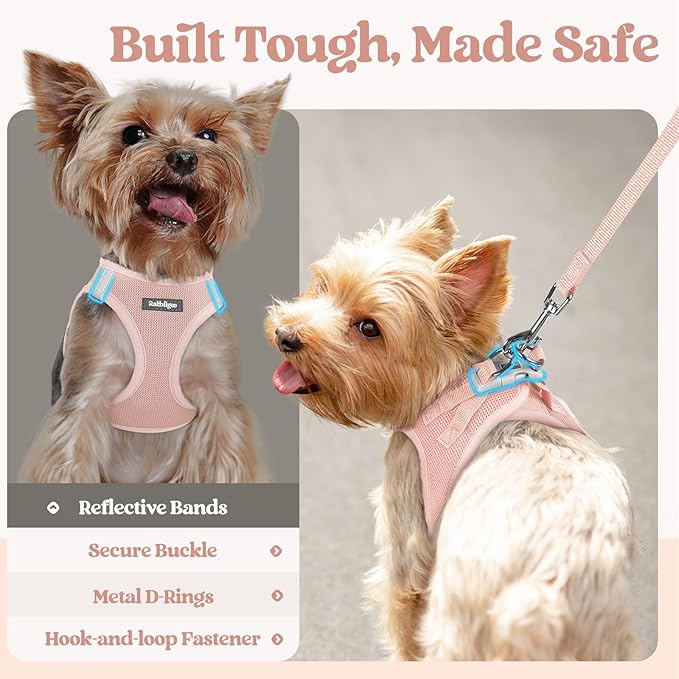 rabbitgoo Dog Harness Small Sized and Leash Set, Step in Soft Light Puppy Vest, Breathable Mesh Pet Harness, Reflective for Outdoor Safe Walking, Pink XXXS-Mewly Pet