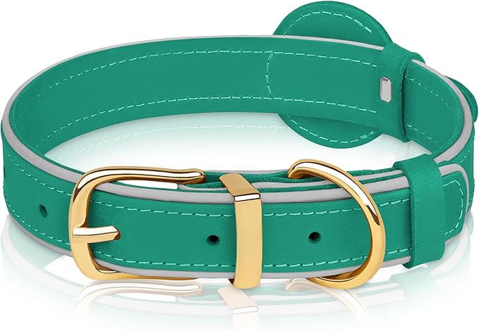 OOPSDOGGY Reflective Geniune Leather Airtag Dog Collar Soft Padded Collars for Small Medium Large Breed Dogs Puppy, 4 Sizes, 7 Colors (Teal, Large, 15"-19")-Mewly Pet