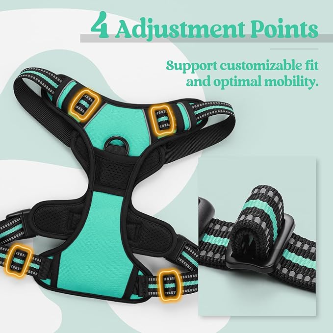rabbitgoo Dog Harness No Pull with 2 Leash Clips, Adjustable Soft Padded, Reflective Oxford No Choke Pet Vest with Easy Control Handle for Large Dogs, Turquoise, XL-Mewly Pet