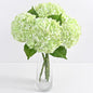 4 Pcs Real Touch Hydrangea Artificial Flowers, 21" Light Green Full Faux Hydrangea Flowers Latex Fake Flowers for Home Decor Party Floral Arrangements Wedding Bouquets Centerpieces Outdoor Decor