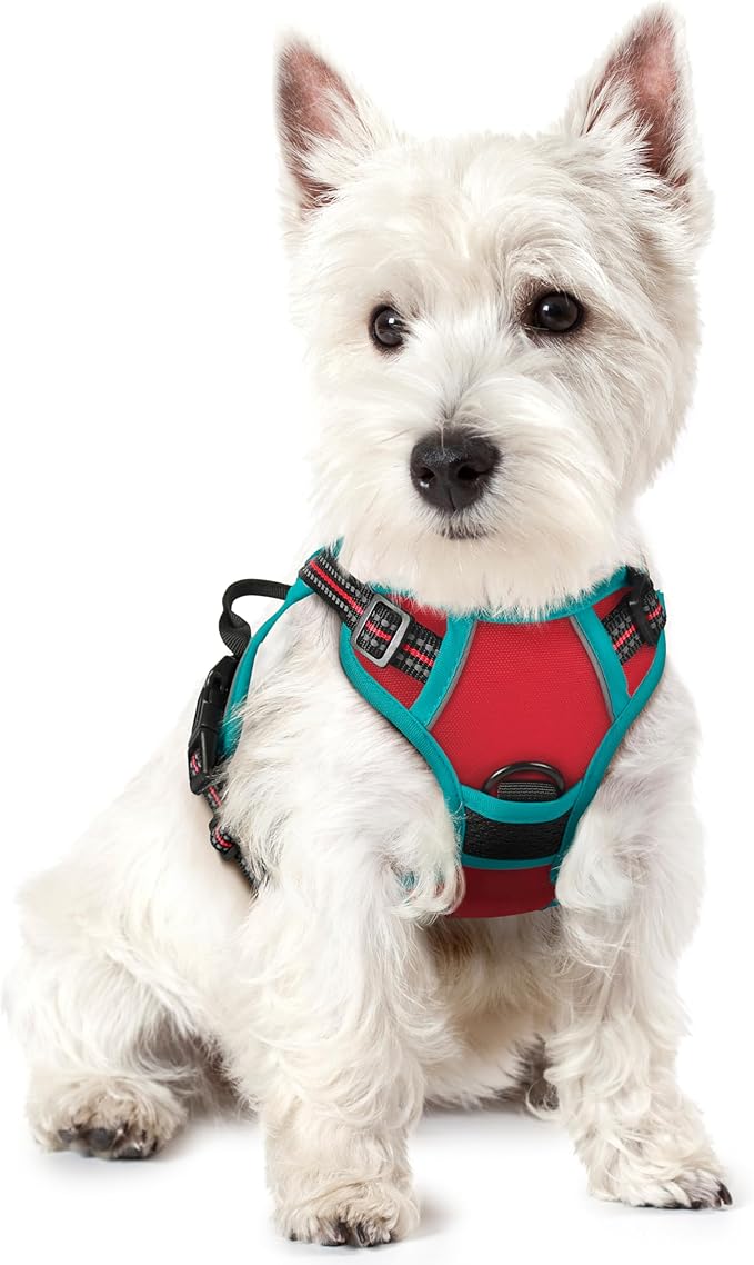 rabbitgoo Dog Harness No Pull with 2 Leash Clips, Adjustable Soft Padded, Reflective Oxford No Choke Pet Vest with Easy Control Handle for Puppy, Red & Teal, XS-Mewly Pet
