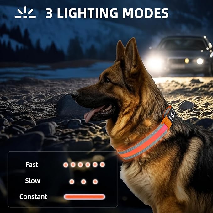 PetIsay LED Dog Collar Metal Buckle - Heavy Duty Light up Collars - Rechargeable IP68 Waterproof - Lighted Dog Collar for Night Walking, Hiking, Camping (Medium, Orange)-Mewly Pet