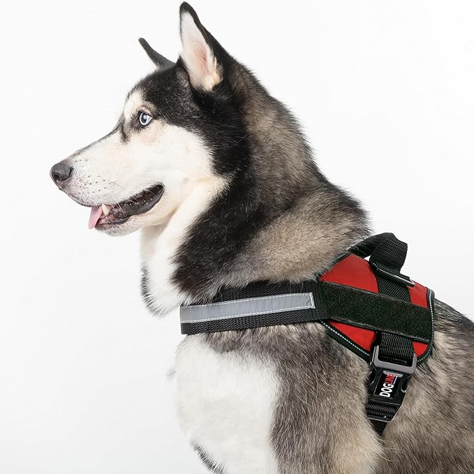 Dogline Dog Harness, Reflective No-Pull Adjustable Vest with Handle for Walking, Training, Service Breathable No - Choke Harness for Small, Medium or Large Dogs Room for Patches Girth 15 to 18 in Red-Mewly Pet