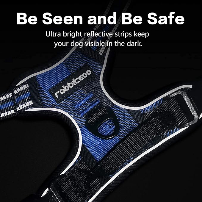 rabbitgoo Dog Harness No-Pull, Comfortable Padded Plaid Harness with Handle Easy Control, Adjustable Reflective Pet Vest with 2 Leash Clips for Small Dog, Blue Plaid, S-Mewly Pet