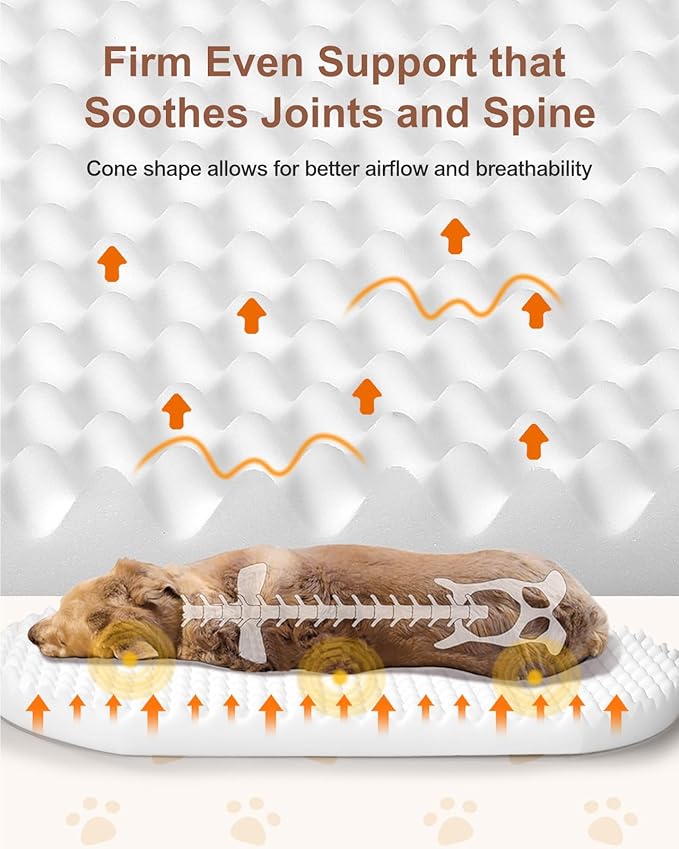 Dog Beds for Jumbo Dogs, 47.5"x35"x7.6", Removable and Washable Cover, Raised Reboundable Edges, Non Slip Bottom, Extra Big Size, Orthopedic Oval Memory Foam Pet Bedding, Indoor-Mewly Pet