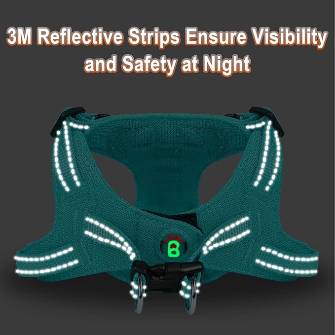 Dog Harness Step in Dog Vest Harness, Reflective Adjustable Puppy No Pull Harness Breathable Soft for Small and Medium Dogs Cats, Ocean Blue, XS-Mewly Pet