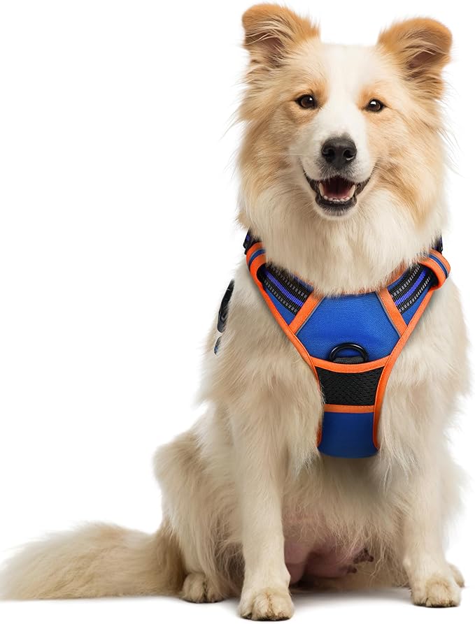 rabbitgoo Dog Harness No Pull with 2 Leash Clips, Adjustable Soft Padded, Reflective Oxford No Choke Pet Vest with Easy Control Handle for Medium Sized Dogs, Blue & Orange, M-Mewly Pet