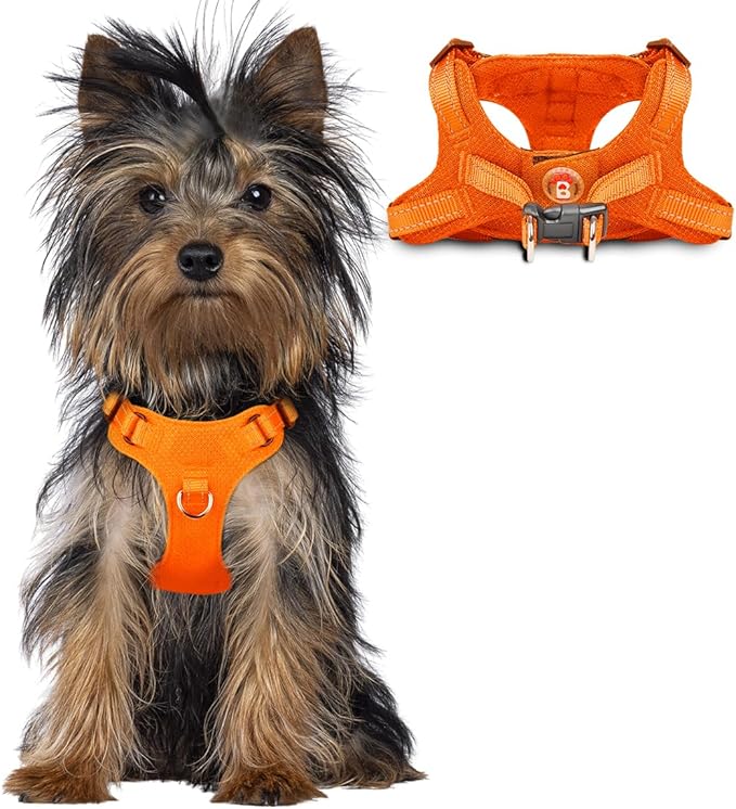 Dog Harness Step in Dog Vest Harness, Reflective Adjustable Puppy No Pull Harness Breathable Soft for Small and Medium Dogs Cats, Orange, XXS-Mewly Pet