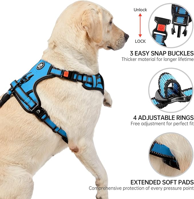 NESTROAD No Pull Dog Harness,Adjustable Oxford Dog Vest Harness with Leash,Reflective No-Choke Pet Harness with Easy Control Soft Handle for Small Dogs(X-Small,Blue)-Mewly Pet