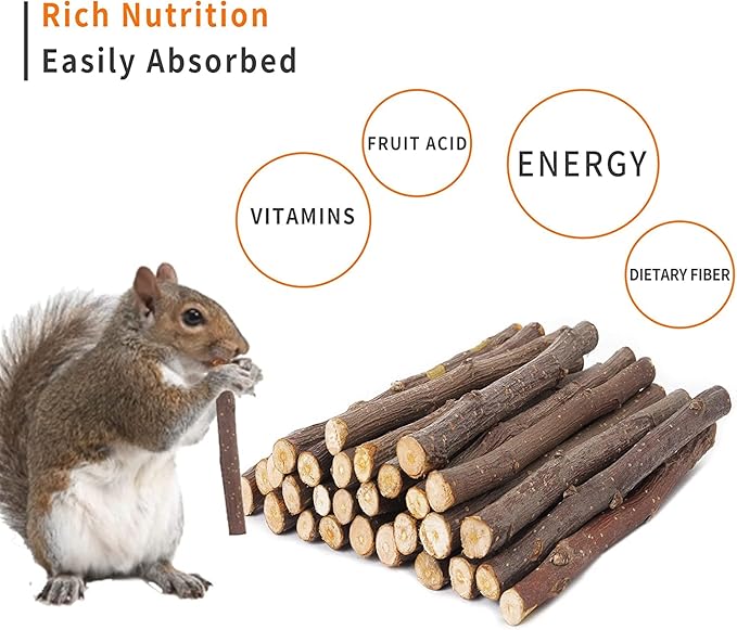 600g Apple Sticks Molar Wood Treats, Rabbit Toys Chinchilla Guinea Pig Bunny Toys Wood Chews Sticks for Teeth Rabbit Food Guinea Pig Hamster Gerbil Chews Small Animals Snacks(150 Pcs)-Mewly Pet