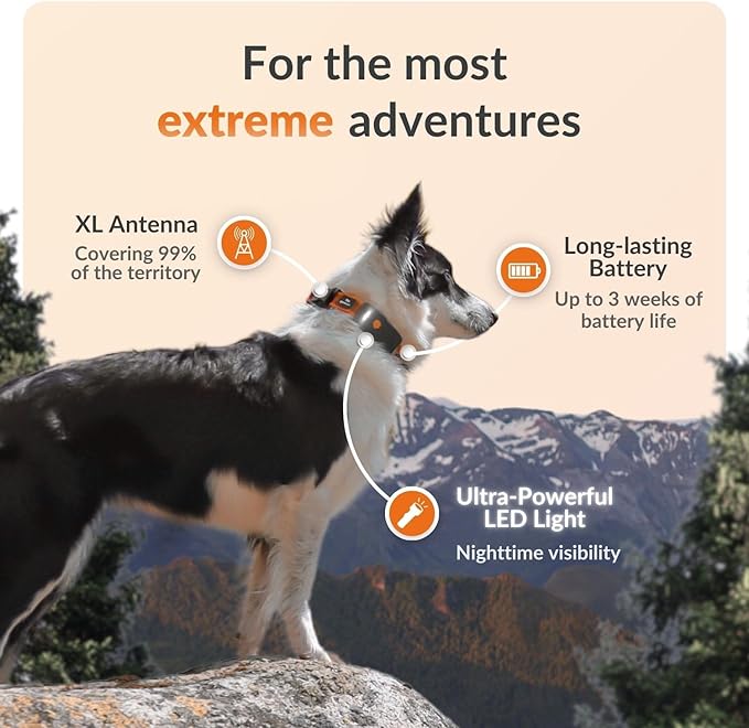 Weenect Dog XT - New GPS Collar for Dogs | XL Antenna | Waterproof | Ultra-Durable Integrated Julius-K9 Collar | Subscription Required-Mewly Pet