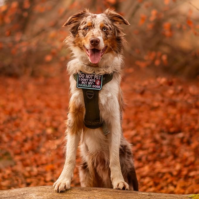 rabbitgoo Dog Harness Medium Sized No Pull, Tactical Service Pet Vest with Molle and Control Handle, Adjustable and Reflective Military Harness for Easy Walking and Training, Rose Red, M-Mewly Pet