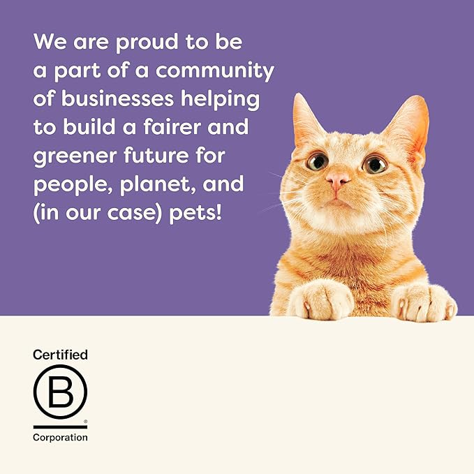 Applaws Lickable Cat Treats, Natural Grain-Free Purée, Limited Ingredient Variety Pack with Chicken, Tuna & Salmon Squeeze Up Treats (50 x 0.5oz Sachet Tub)-Mewly Pet