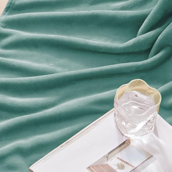 Exclusivo Mezcla Extra Large Fleece Throw Blanket for Couch, Sofa, 300GSM Super Soft and Warm Blankets, Celadon Throw All Season Use, Cozy, Plush, Lightweight, 50x70 Inches