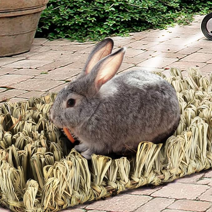 Hamiledyi Rabbit Grass Bed Bunny Natural Straw Woven Mat Guinea Pig Hay Mat Chew Mat for Rabbit Guinea Pig Chinchilla Squirrel Hedgehog(10.6x7.5x3.5inches)-Mewly Pet