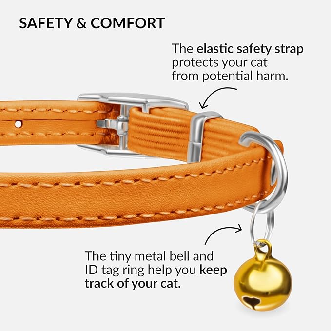 CollarDirect Leather Cat Collar with Bell - Kitten Collar, Small and Big Cat Strap for Boy Cats, Girl Cats with Safety Elastic Strap (Neck Fit 8"-11", Orange)-Mewly Pet