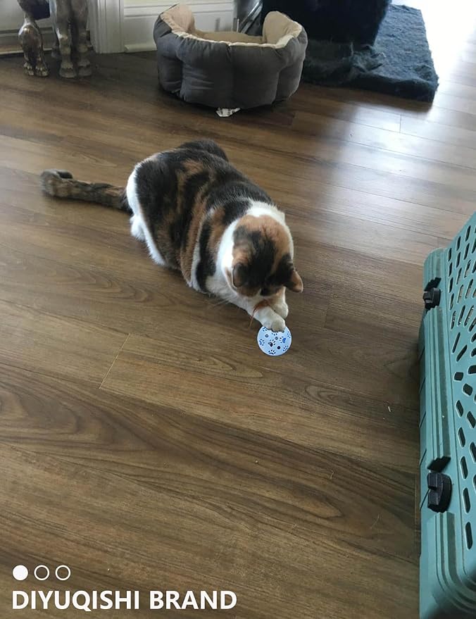 15-Pack Cat Toy Variety for Indoor Cats, Jumping for Joy (1.5'' - 3.7'', Cat Toys Mega Set)-Mewly Pet