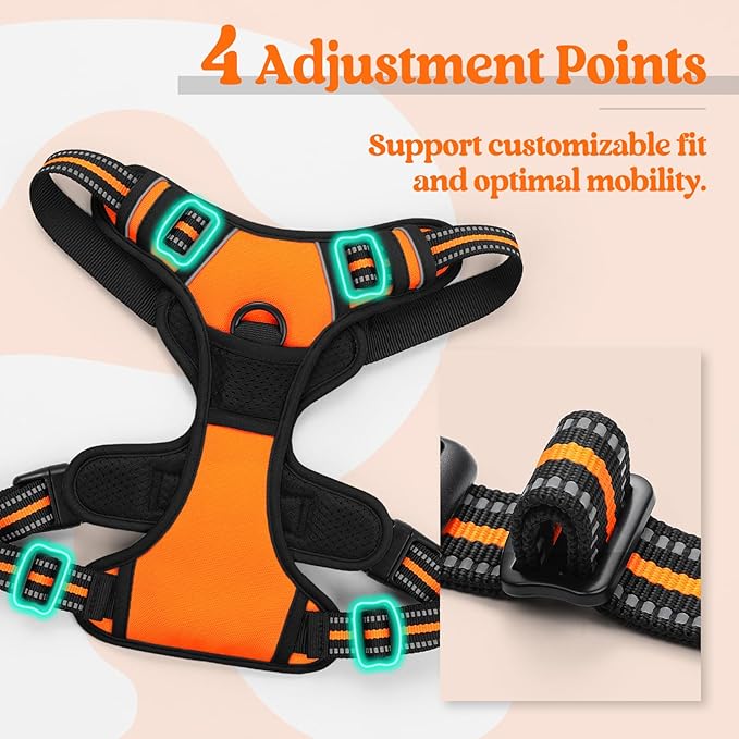 rabbitgoo Dog Harness No Pull with 2 Leash Clips, Adjustable Soft Padded, Reflective Oxford No Choke Pet Vest with Easy Control Handle for Medium Sized Dogs,Orange, M-Mewly Pet