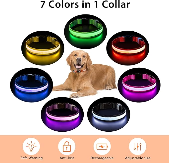 PcEoTllar Light up Dog Collar for Night Walking - LED Dog Collar Light Rechargeable Color Changing, Glow in The Dark Dog Collars Waterproof Glowing Dog Collars for Large Small Medium Dogs-Mewly Pet