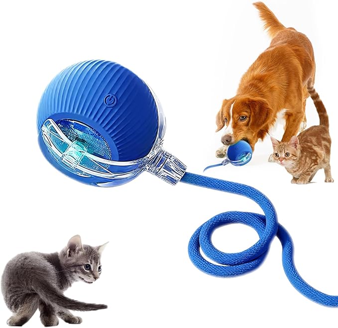 Cat Ball Toy,New Interactive Rolling Cats Dog Toy Balls 360° Smart Automatic Rolling Pet Ball, Fast Moving Toy for Dog,Interactive Toys for Cats (Blue)-Mewly Pet