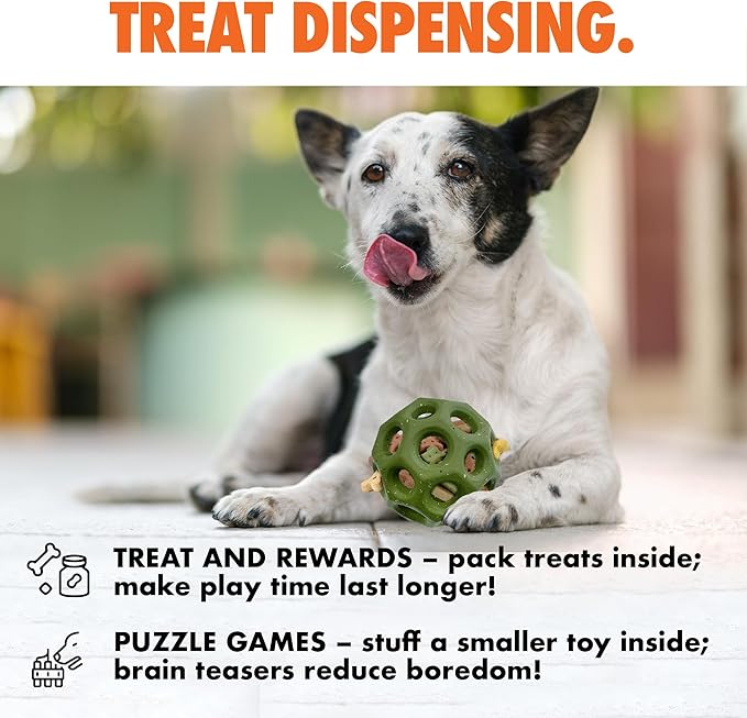 Max Fusion with Nike Grind, Arlee Helix Dog Toy, Chew Toy for Play, Fetch, Tug, S-Mewly Pet