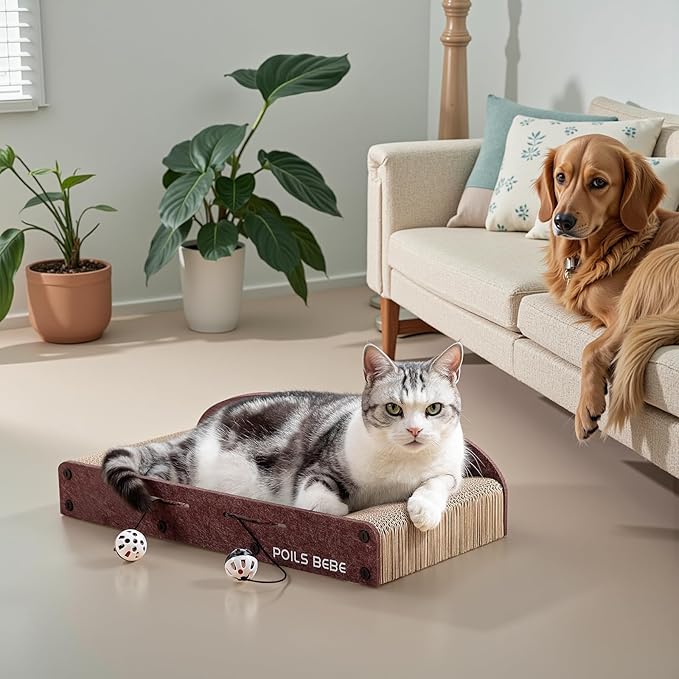 Poils Bebe 21 Inch Sofa Cat Scratcher, Small Cat Scratcher Cardboard with Bell Balls, Durable Couch Lounger for Indoor Cats, Cat Scratch Furniture Protector with Catnip, Cat Toys-Mewly Pet