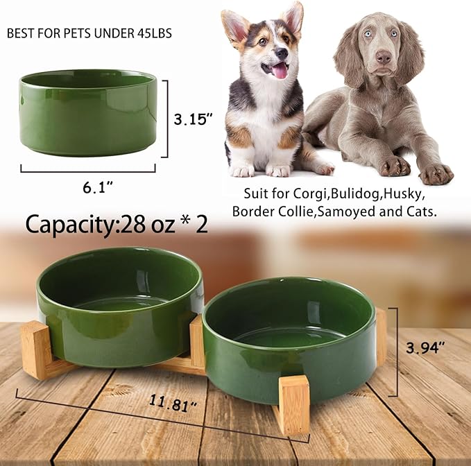 Petygooing Ceramic Dog Cat Bowl Set with Stand, Pet Food and Water Dishes,Medium Pet Bowl Anti -Slip Set of 2 Cat Dish-Pet Food Bowls Small Medium Size Dog (28OZ/6.1 in) Rust Green-Mewly Pet